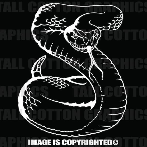 Coiled Striking Snake Vinyl Decal