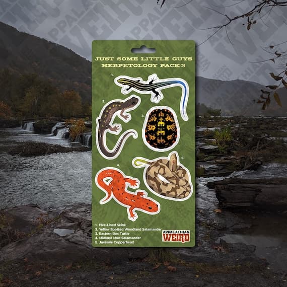 Herpetology Mini Decal Pack