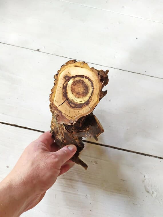 Large Root Driftwood Branch