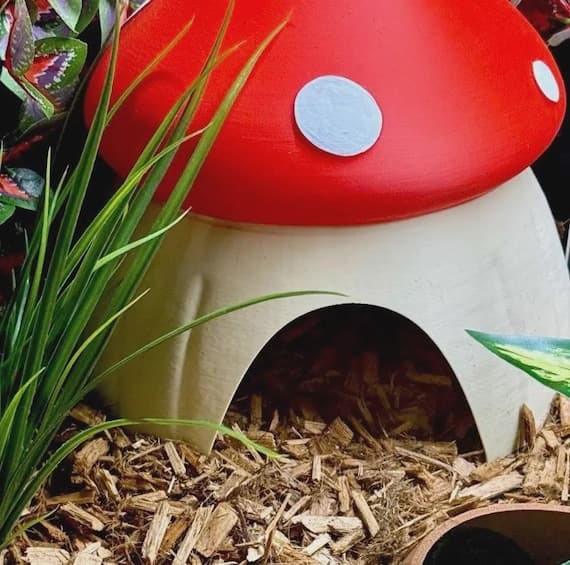 Mushroom Reptile Hide