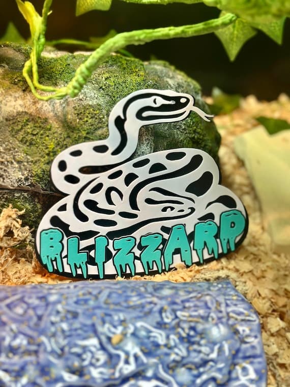 Custom Snake Name Plate